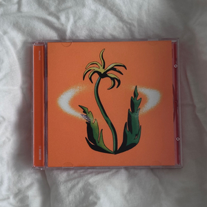 더발룬티어스 New Plant CD 단순개봉