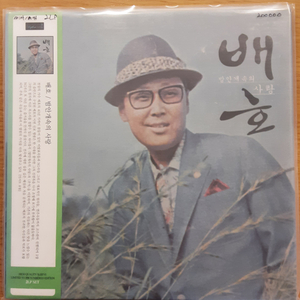 배호 2lp