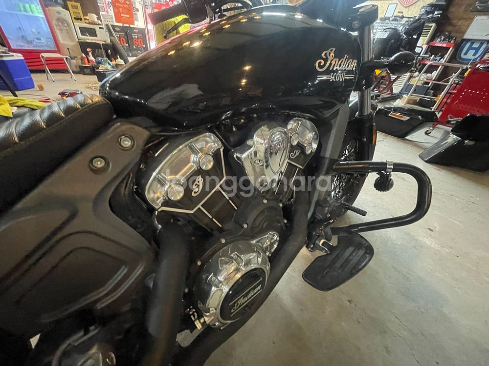 인디언스카우터--7