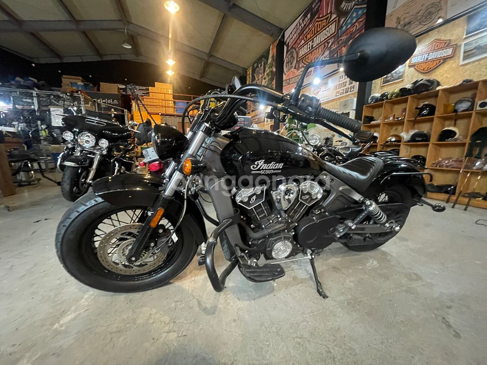 인디언스카우터--8