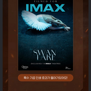 백조의호수 파리오페라 발레단 아이맥스 imax 포스터