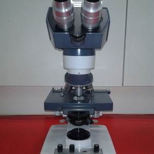AO 중형급 쌍안생물현미경 대여렌탈