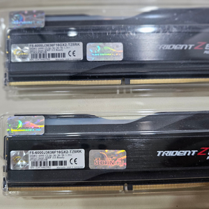 지스킬 ddr5 6000 16기가 2개 32기가 판매