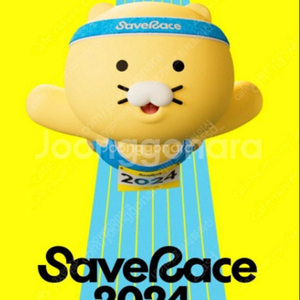 save race 양도합니다