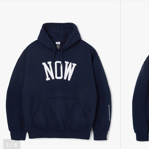 빈지노 노비츠키 now hoodie - L