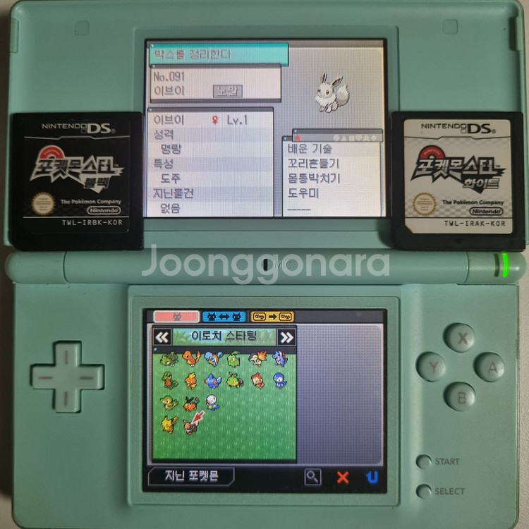 블랙 or 화이트 NDS 칩 [이로치 스타팅 & 전설]--1