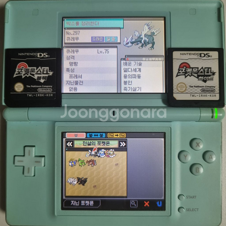 블랙 or 화이트 NDS 칩 [이로치 스타팅 & 전설]--2
