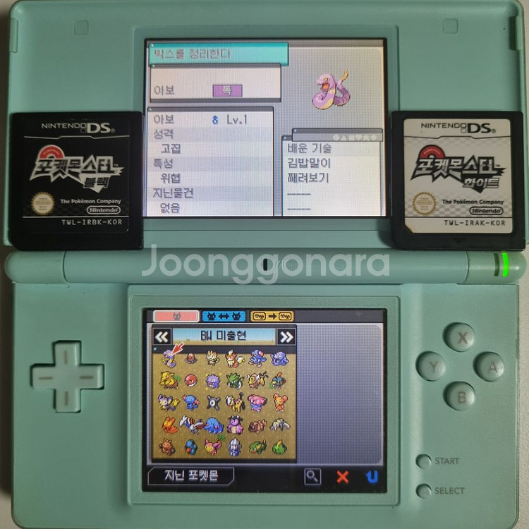블랙 or 화이트 NDS 칩 [이로치 스타팅 & 전설]--3