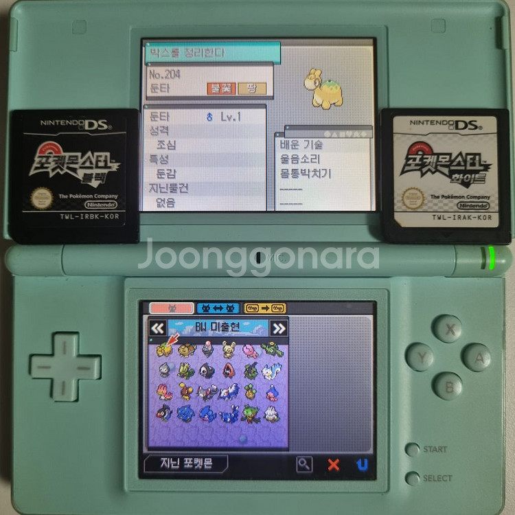 블랙 or 화이트 NDS 칩 [이로치 스타팅 & 전설]--4