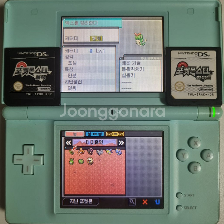 블랙 or 화이트 NDS 칩 [이로치 스타팅 & 전설]--5