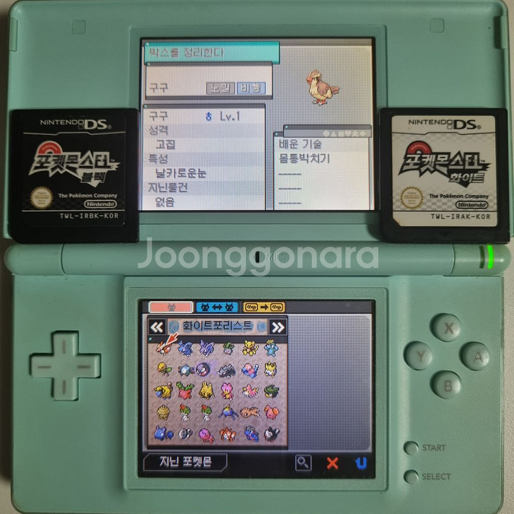 블랙 or 화이트 NDS 칩 [이로치 스타팅 & 전설]--7