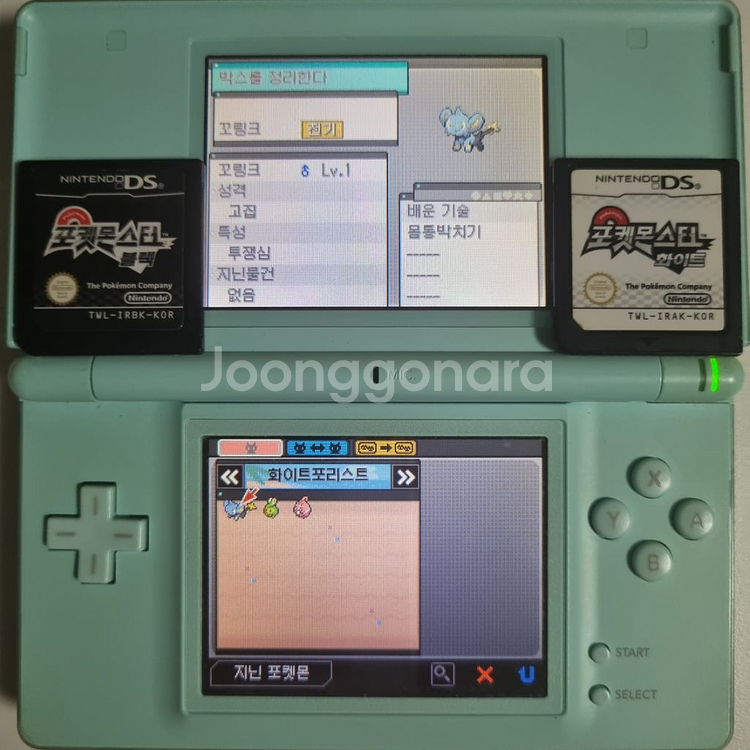 블랙 or 화이트 NDS 칩 [이로치 스타팅 & 전설]--8