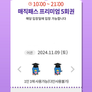 11/9(토) 롯데월드 매직패스 5회권 2장