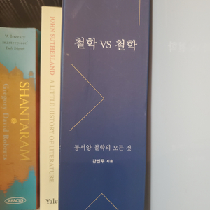 철학 VS 철학 강신주 저자