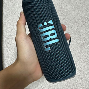 JBL 플립6