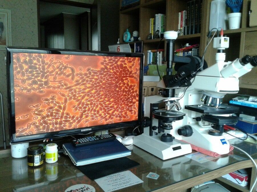 칼자이즈위상차현미경 대여렌탈 이미지