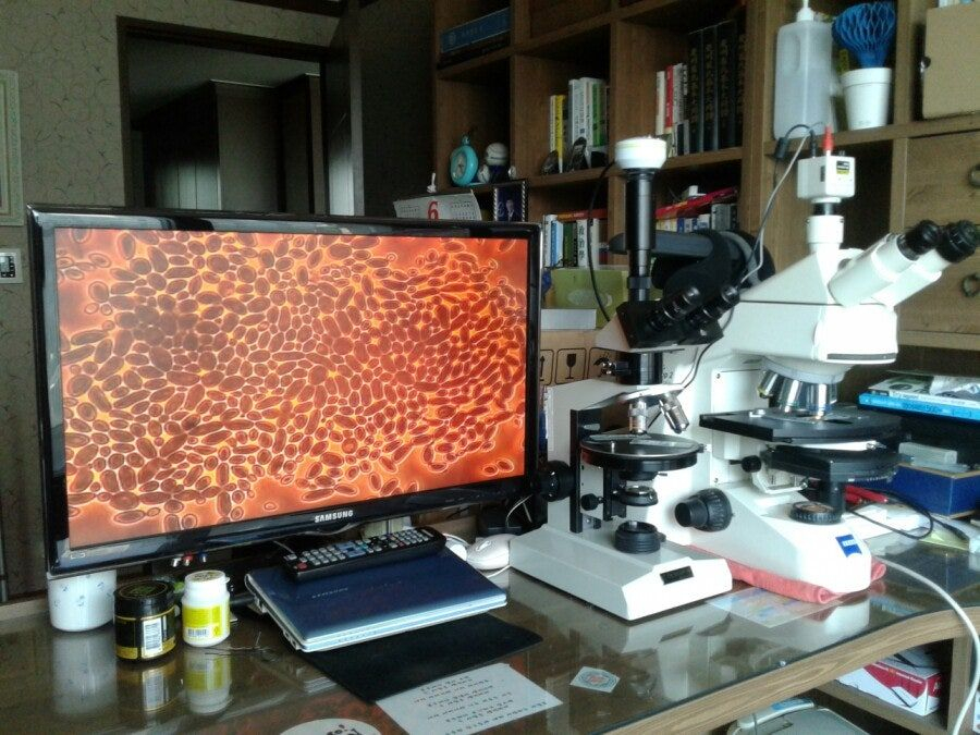 칼자이즈위상차현미경 대여렌탈 이미지