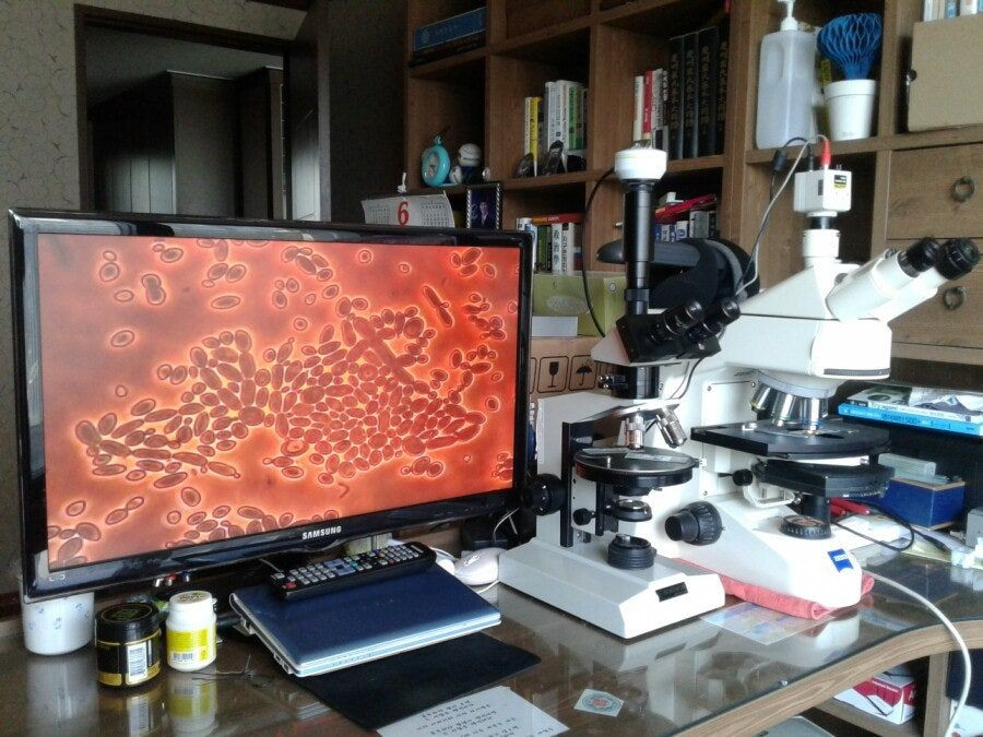 칼자이즈위상차현미경 대여렌탈 이미지