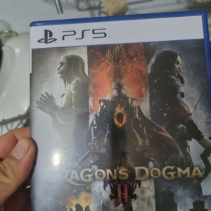 Ps5 드래곤즈 도그마2 팝니다 택포