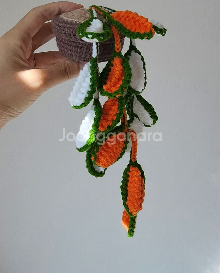 뜨개 식물--1