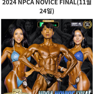 npca 노비스파이널 양도