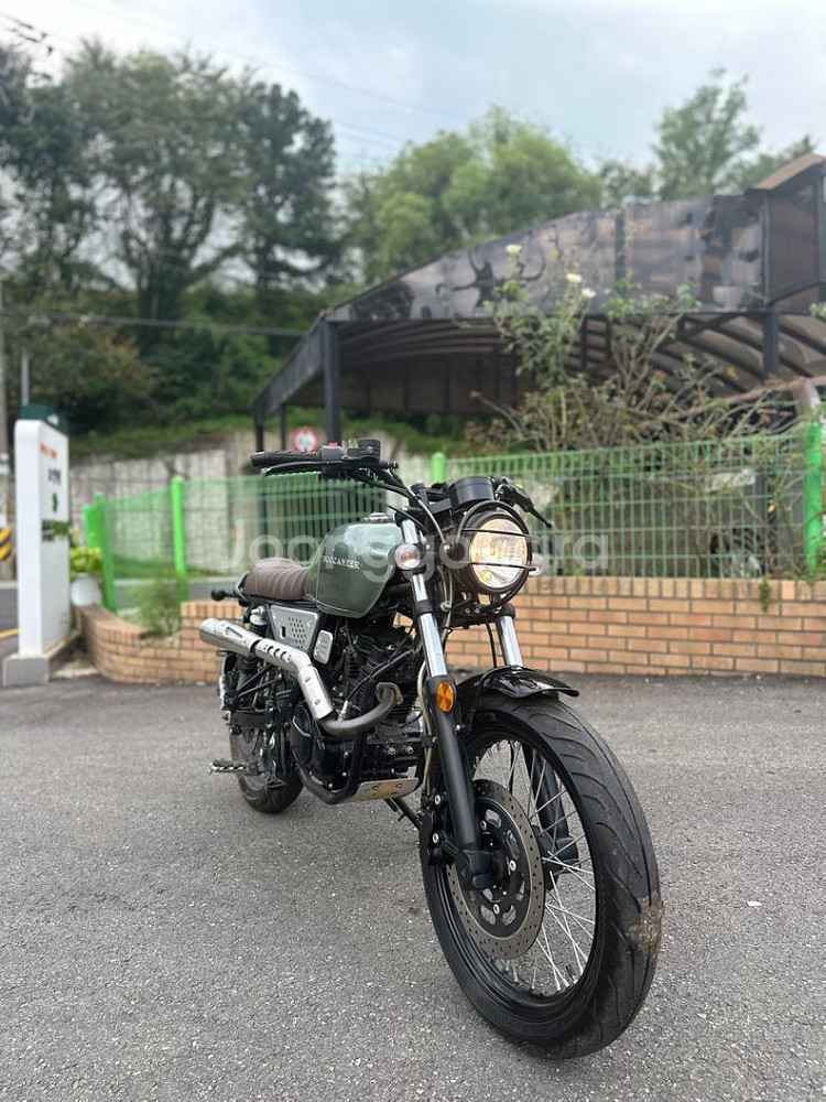 부캐너125--1