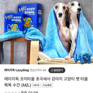 레이지독 코지타올 초극세사 강아지 고양이 펫 타올 목욕