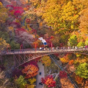 화담숲 11월 10일 오후