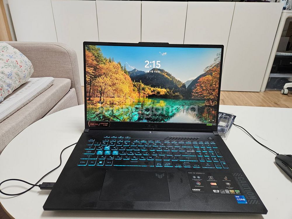 ASUS TUF Gaming F17. 17인치 노트북--2
