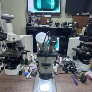 ZEISS 영상실체현미경-8배~64배 대여렌탈