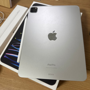 iPad Pro 11(4세대)M2 Wi-Fi 256GB