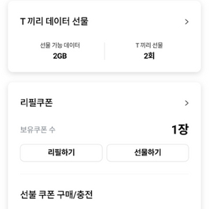 skt 데이터쿠폰 2기가