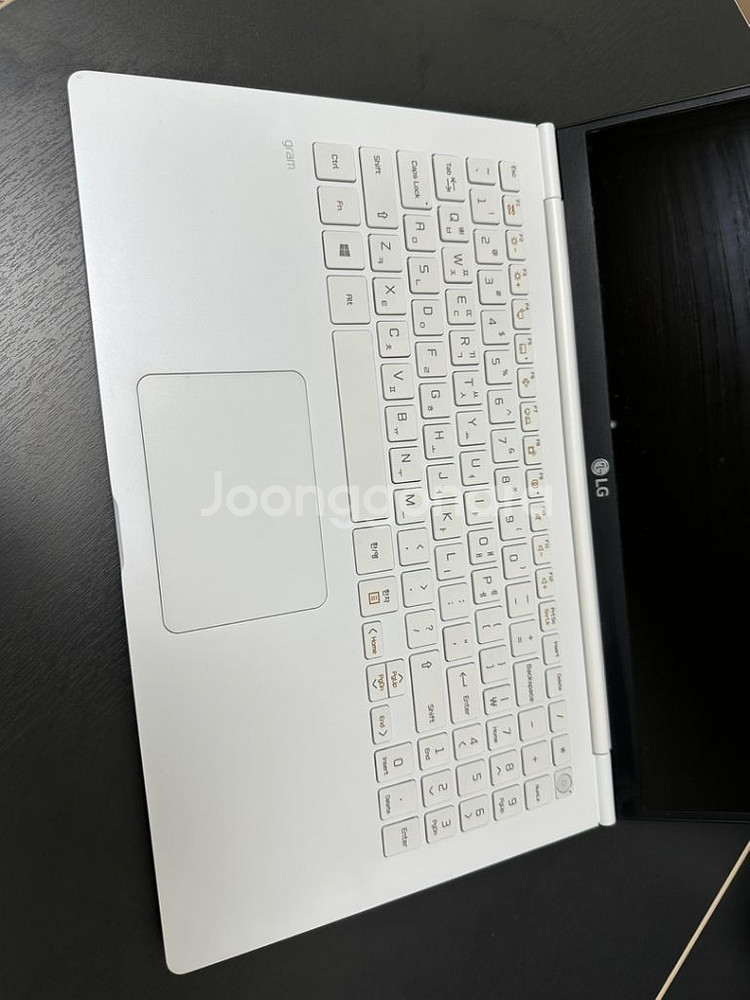 LG 그램 256기가 15인치 45만원--2