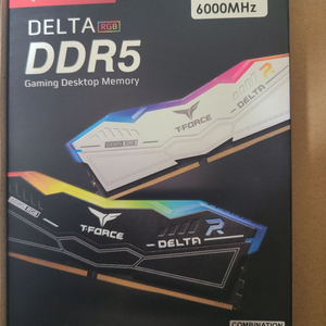 팀그룹 T-FORCE DDR5 6000MHz 32기가(