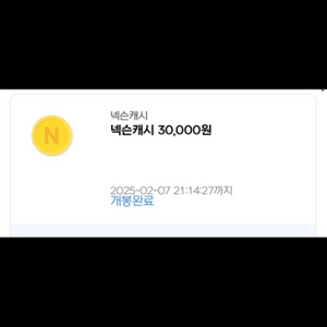 넥슨 캐시 30000원권