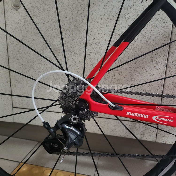 라피에르 젤리우스 SL (L) 카본 울테그라--3