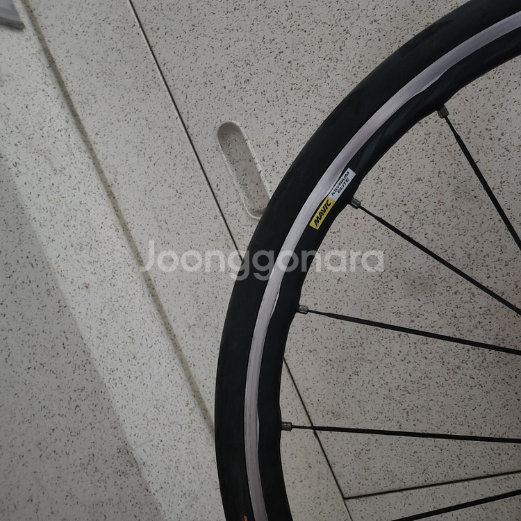 라피에르 젤리우스 SL (L) 카본 울테그라--2