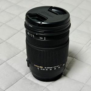 캐논 시그마 18-250mm ef 슈퍼줌