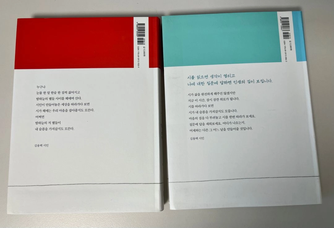 김용택<어쩌면 별들이 너의 슬픔을 가져갈지도 몰라> 이미지