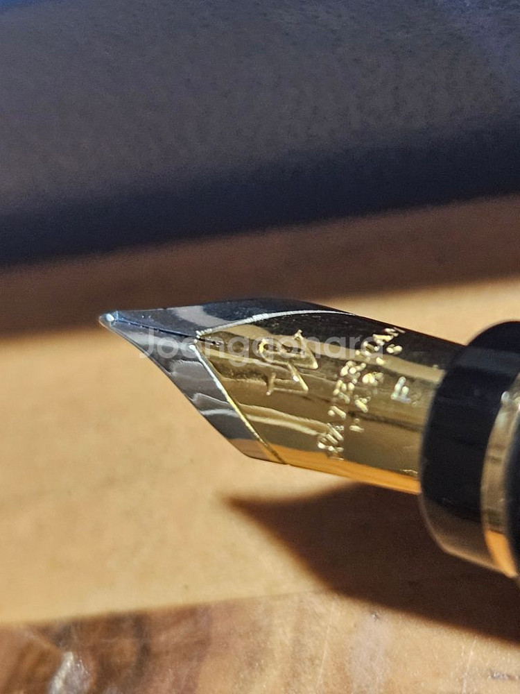 워터맨 엑스퍼트 f닙 만년필--1