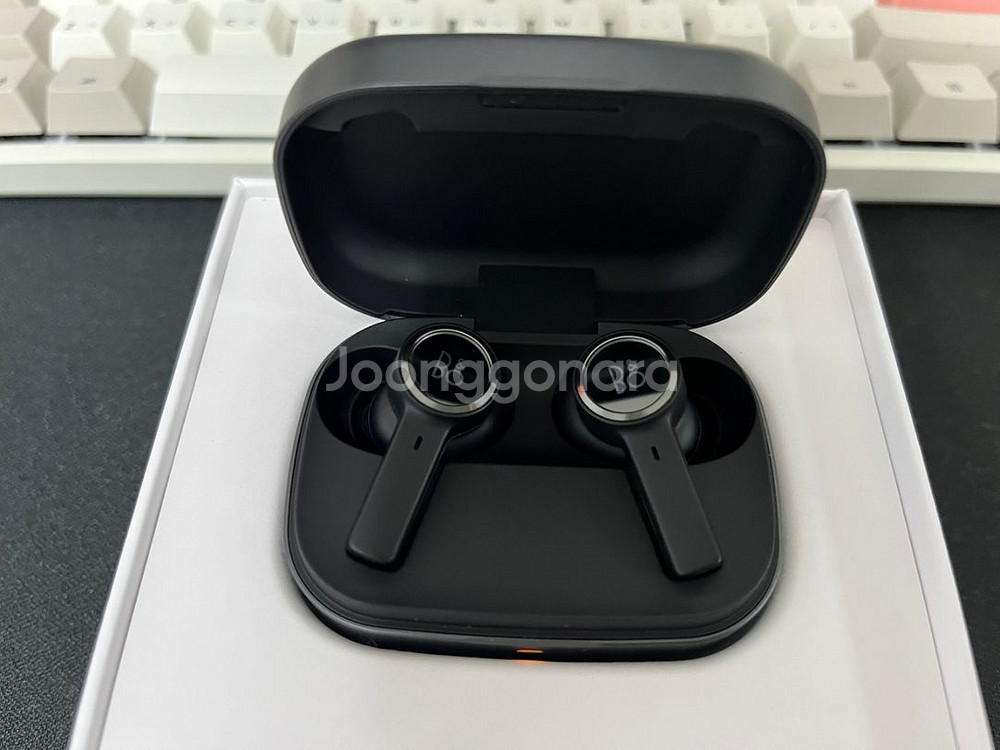 뱅앤올룹슨 베오플레이 ex--1