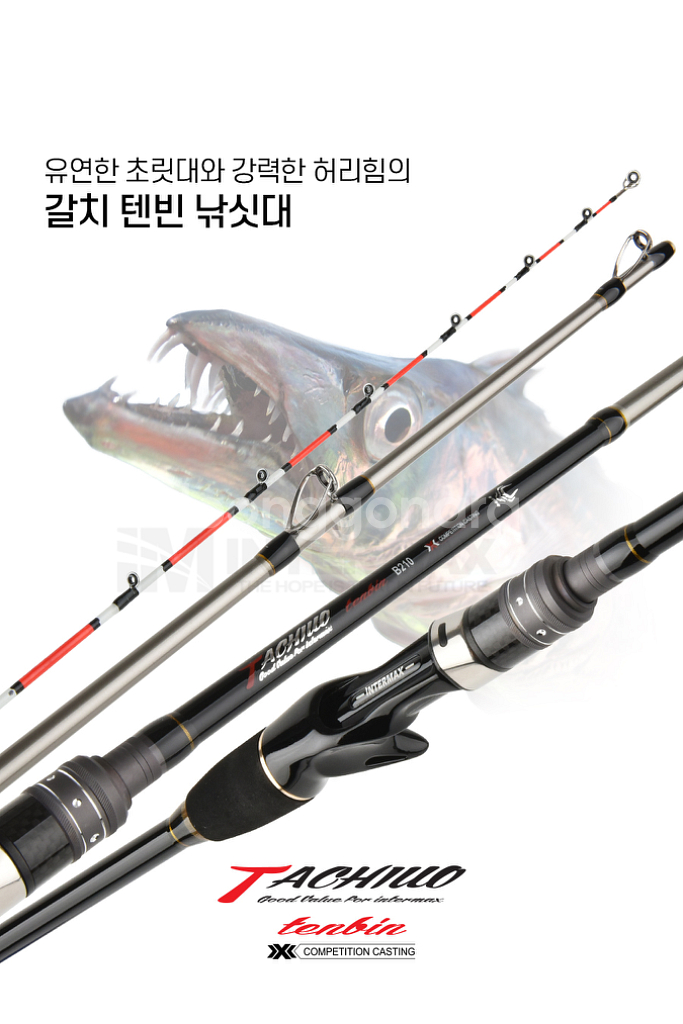 갈치 텐빈 낚싯대 B210 낚시 새상품--1