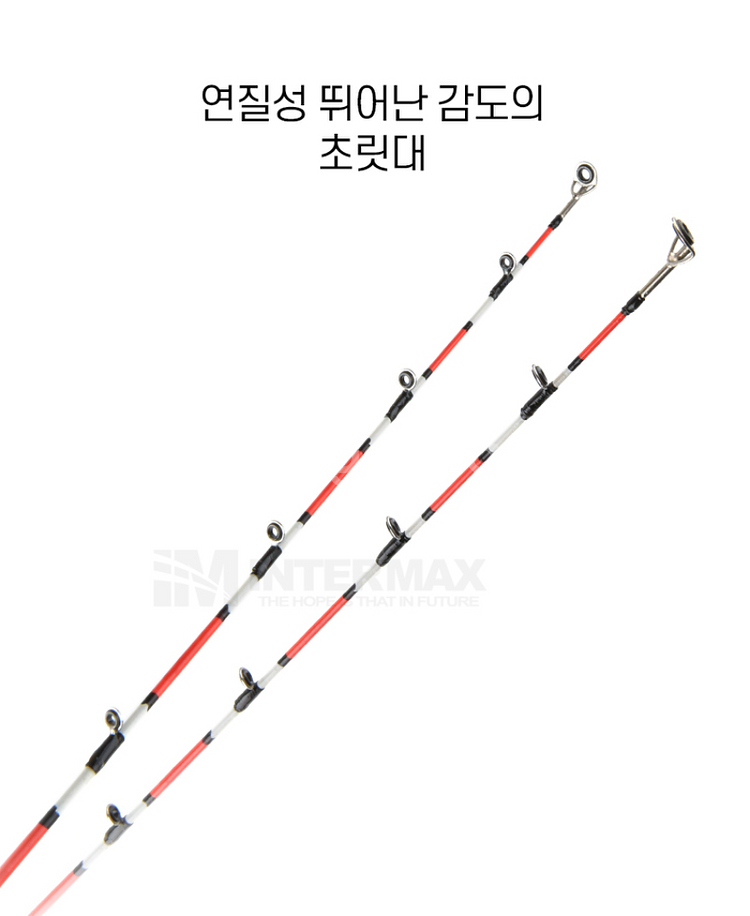 갈치 텐빈 낚싯대 B210 낚시 새상품--4