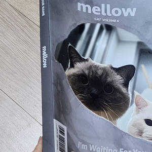 고양이 잡지 mellow 팝니다