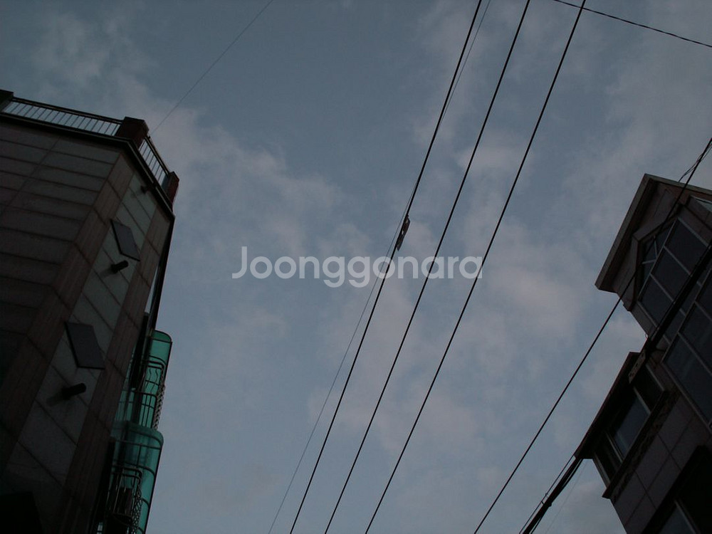 Konica Minolta Dimage Z5코니카미놀타--6