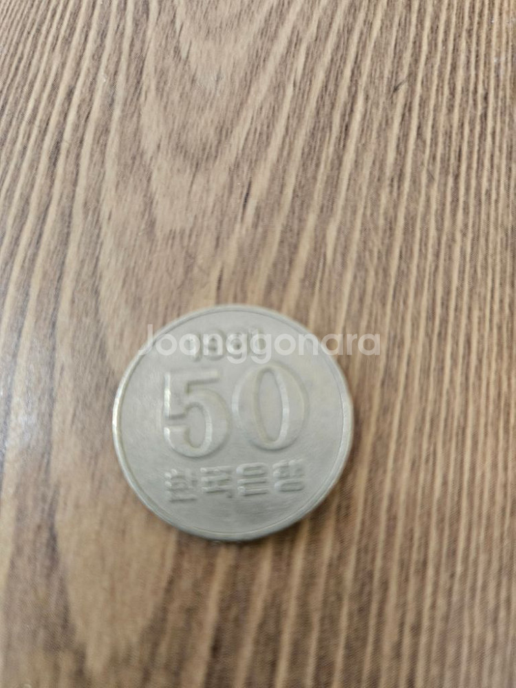 50원 1981--0