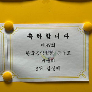 바이올린/비올라 취미,레슨생 구합니다!