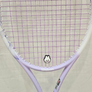 입문용테니스라켓(윌슨)