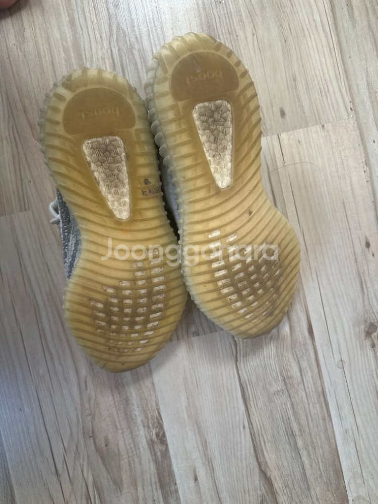 이지부스트 블루틴트270--2
