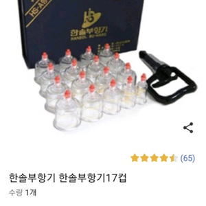 한솔부황기(새상품)